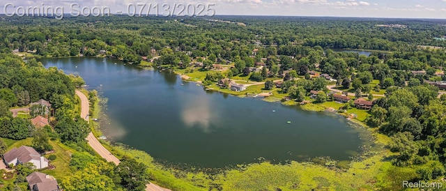 7709 Shelley Dr, Clarkston, MI 48348 - bird's eye view of a large body of water and a forest