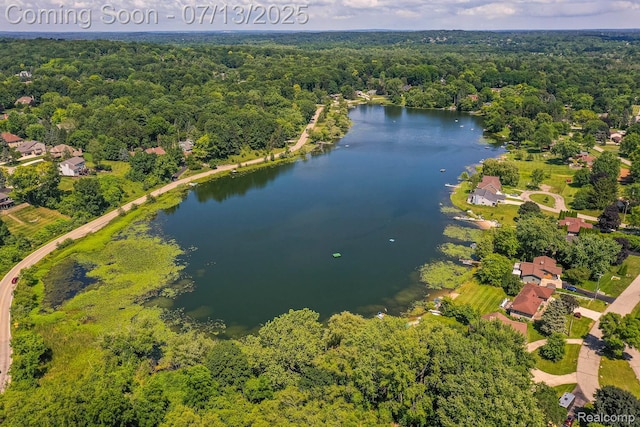 7709 Shelley Dr, Clarkston, MI 48348 - aerial view of a large body of water