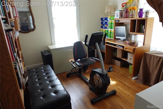 341 W Oakridge St W, Ferndale, MI 48220 - office space with wood finished floors and healthy amount of natural light