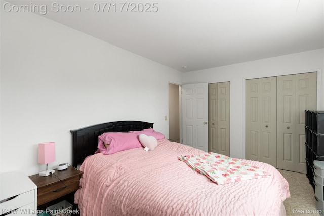 1046 Stonehenge Rd, Flint, MI 48532 - bedroom with two closets and light carpet