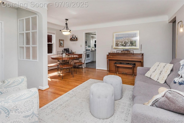 437 Normandy Rd, Royal Oak, MI 48073 - living room featuring wood finished floors and baseboards