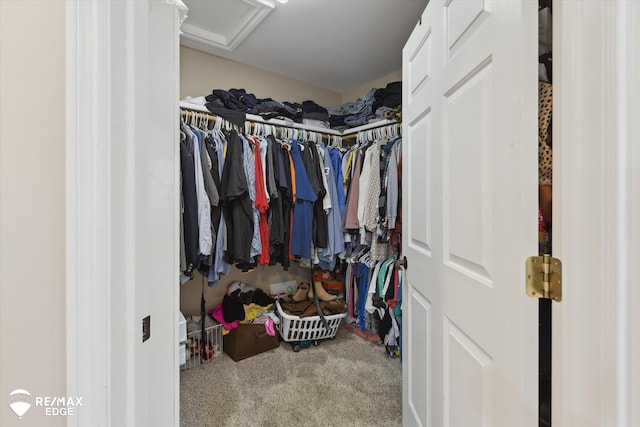 7266 Dodge Rd, Montrose, MI 48457 - walk in closet featuring carpet flooring and attic access