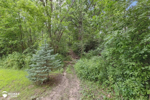 7266 Dodge Rd, Montrose, MI 48457 - view of tree filled area