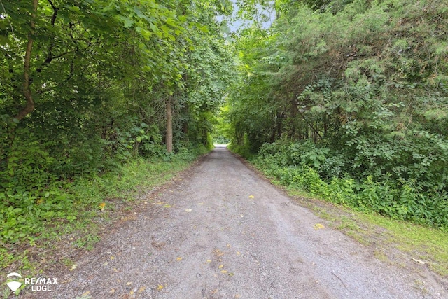 7266 Dodge Rd, Montrose, MI 48457 - view of street featuring a view of trees