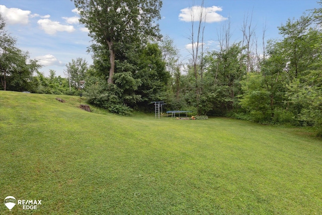 7266 Dodge Rd, Montrose, MI 48457 - view of grassy yard