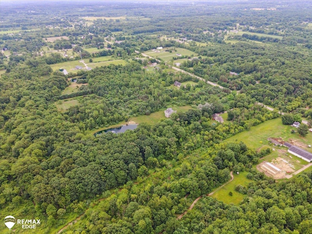 7266 Dodge Rd, Montrose, MI 48457 - view of property location with a heavily wooded area