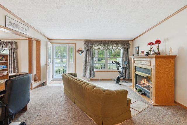 10224 Rexford Rd, Grass Lake, MI 49240 - living room featuring crown molding, carpet floors, a glass covered fireplace, and a textured ceiling