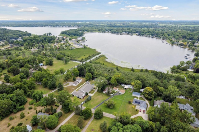 10224 Rexford Rd, Grass Lake, MI 49240 - aerial view of property's location with a large body of water and a heavily wooded area