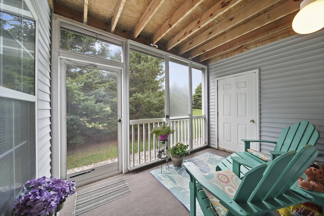 824 W Barrington Cir, Jackson, MI 49203 - view of sunroom / solarium