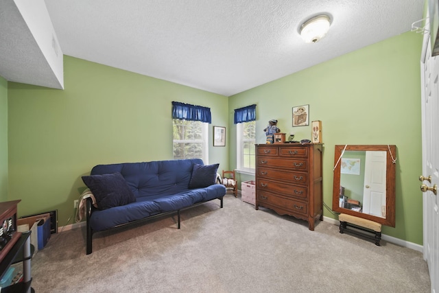 824 W Barrington Cir, Jackson, MI 49203 - living area featuring carpet and a textured ceiling