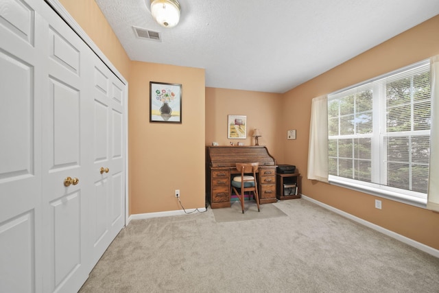 824 W Barrington Cir, Jackson, MI 49203 - office space with light carpet and a textured ceiling
