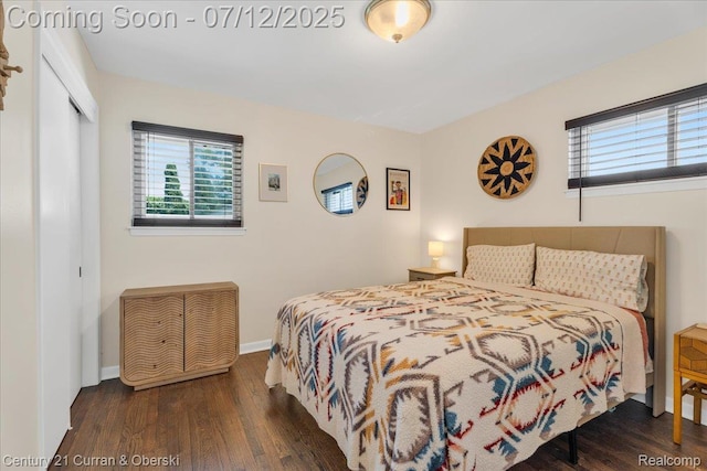 23139 Deziel St, Saint Clair Shores, MI 48082 - bedroom featuring multiple windows, wood finished floors, and a closet