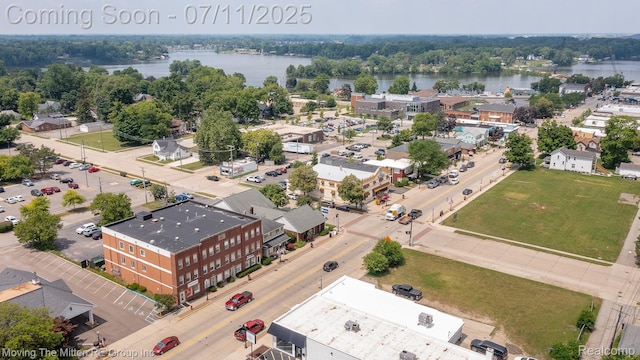 231 Main St, Belleville, MI 48111 - bird's eye view of a nearby body of water