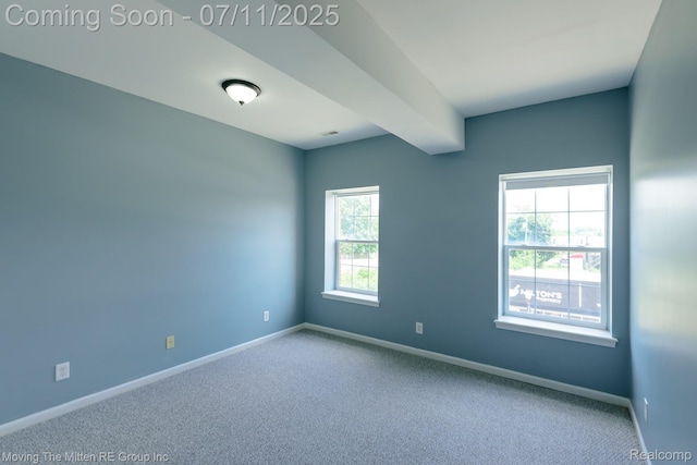 231 Main St, Belleville, MI 48111 - unfurnished room with carpet floors