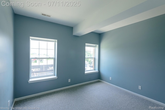 231 Main St, Belleville, MI 48111 - empty room featuring carpet flooring