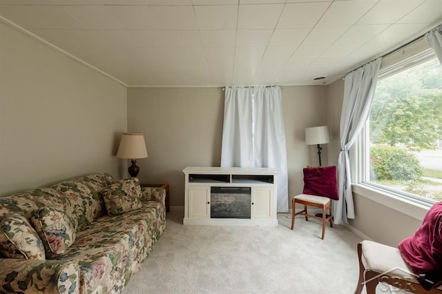 1312 Bayliss St, Midland, MI 48640 - living room featuring healthy amount of natural light and light carpet