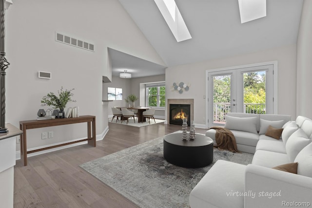4350 Pine Ridge Ct, Ann Arbor, MI 48105 - living area featuring high vaulted ceiling, a skylight, wood finished floors, and a glass covered fireplace