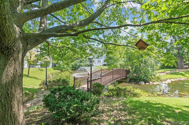 4350 Pine Ridge Ct, Ann Arbor, MI 48105 - view of green lawn featuring a water view