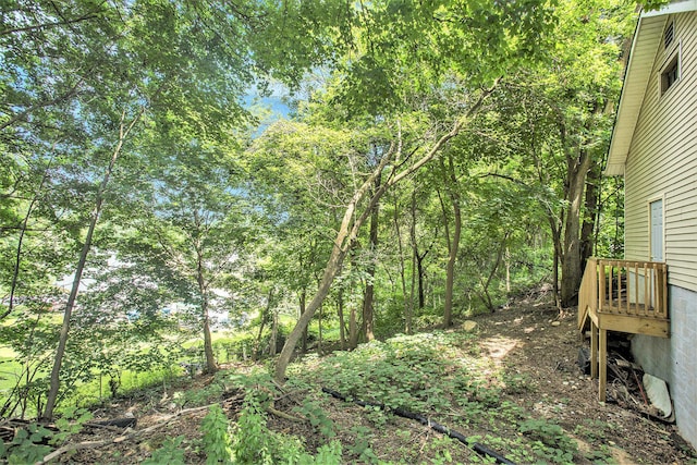 100 Eldred St, Battle Creek, MI 49015 - view of local wilderness