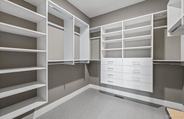 49976 Kent Ct, Canton, MI 48188 - walk in closet with carpet floors