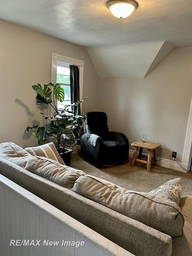 419 N Birney St, Bay City, MI 48708 - living room featuring carpet and lofted ceiling
