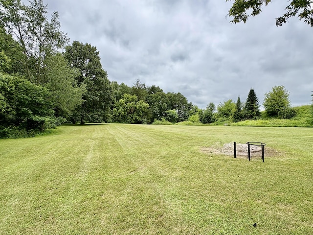 12141 Lawrence Rd, Brooklyn, MI 49230 - view of grassy yard