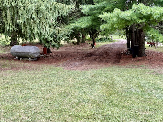 12141 Lawrence Rd, Brooklyn, MI 49230 - view of green lawn