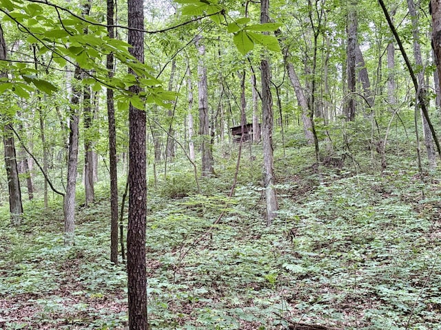 12141 Lawrence Rd, Brooklyn, MI 49230 - view of woods