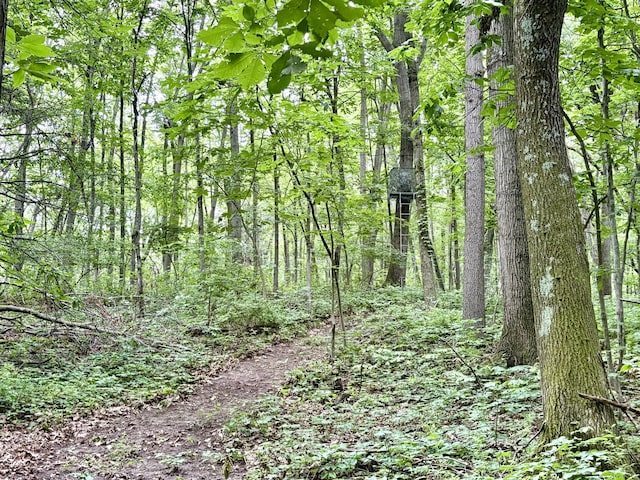 12141 Lawrence Rd, Brooklyn, MI 49230 - view of wooded area