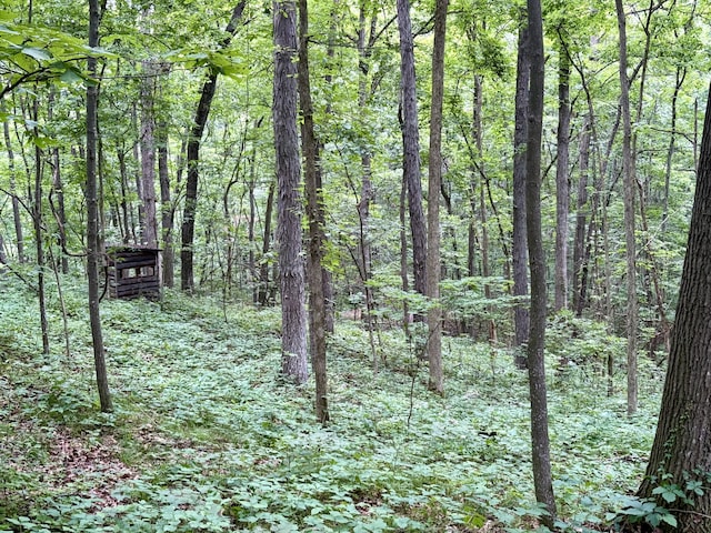 12141 Lawrence Rd, Brooklyn, MI 49230 - view of wooded area