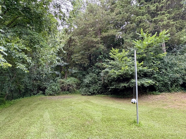 12141 Lawrence Rd, Brooklyn, MI 49230 - view of green lawn featuring a wooded view