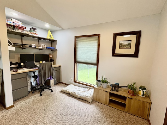 12141 Lawrence Rd, Brooklyn, MI 49230 - office featuring light carpet and lofted ceiling