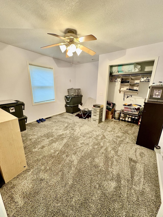 12141 Lawrence Rd, Brooklyn, MI 49230 - home office with a ceiling fan, carpet flooring, and a textured ceiling