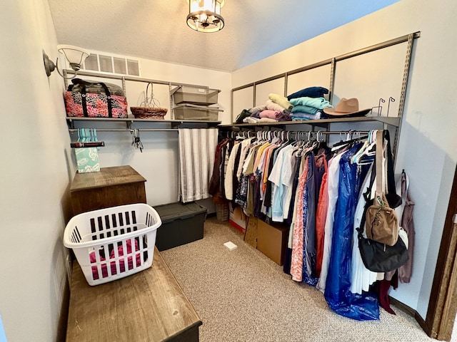 12141 Lawrence Rd, Brooklyn, MI 49230 - spacious closet with carpet floors