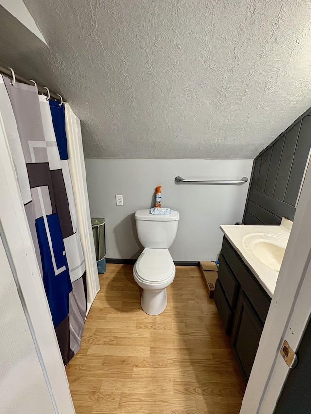12141 Lawrence Rd, Brooklyn, MI 49230 - bathroom with a textured ceiling, wood finished floors, vanity, and a shower with curtain