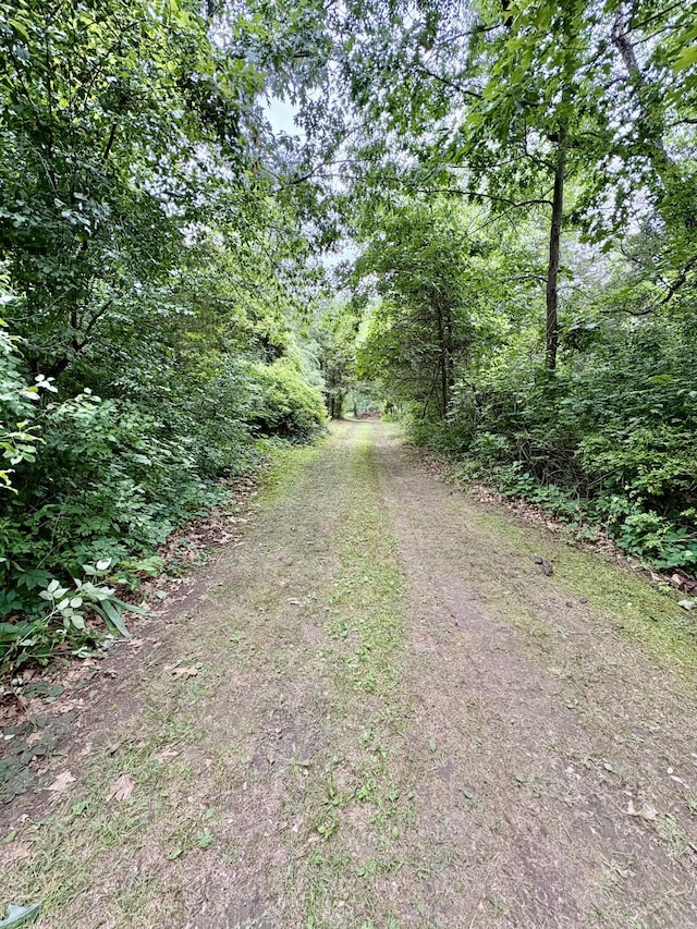 12141 Lawrence Rd, Brooklyn, MI 49230 - view of dirt / gravel road with a view of trees