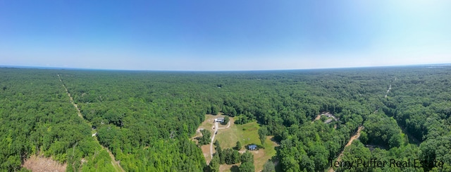 2860 Fenner Rd, Muskegon, MI 49445 - drone / aerial view of a forest