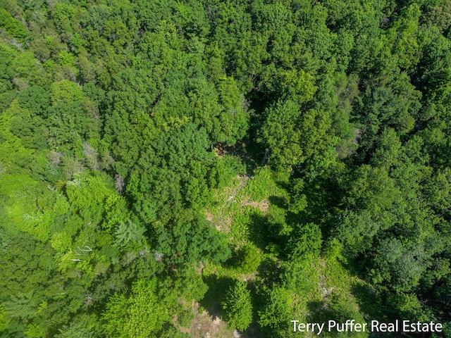 2860 Fenner Rd, Muskegon, MI 49445 - view of property location with a heavily wooded area