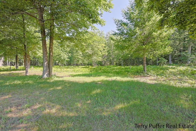 2860 Fenner Rd, Muskegon, MI 49445 - view of yard with a forest view