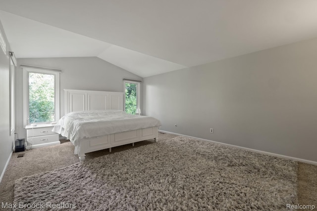 1125 Meadowglen Ct, Bloomfield Hills, MI 48304 - bedroom featuring carpet floors and vaulted ceiling
