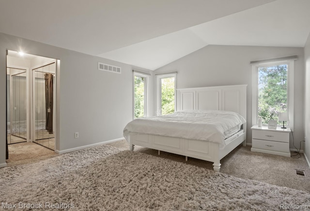 1125 Meadowglen Ct, Bloomfield Hills, MI 48304 - carpeted bedroom with multiple windows and vaulted ceiling