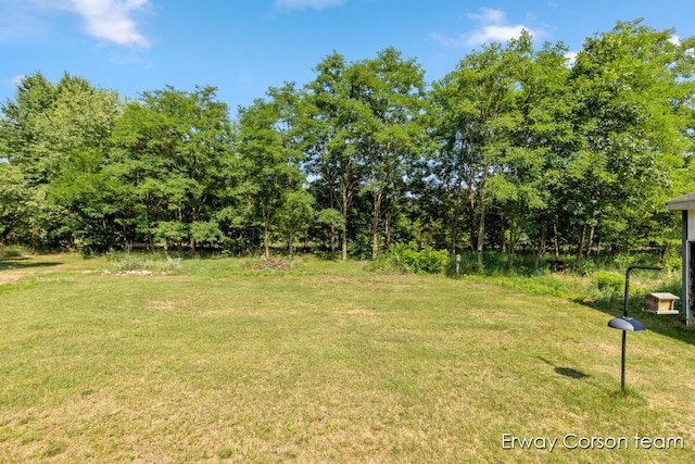 5599 Marsh Rd, Shelbyville, MI 49344 - view of green lawn