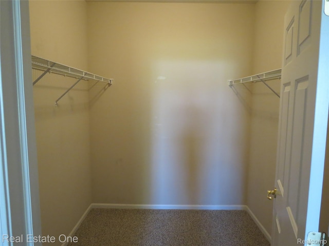 3153 Kneeland Cir, Howell, MI 48843 - walk in closet with carpet floors