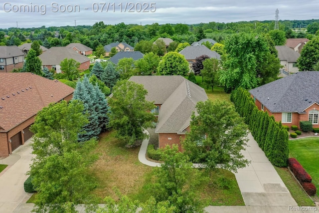 13823 Blue Beech Ln, Shelby Twp, MI 48315 - aerial perspective of suburban area
