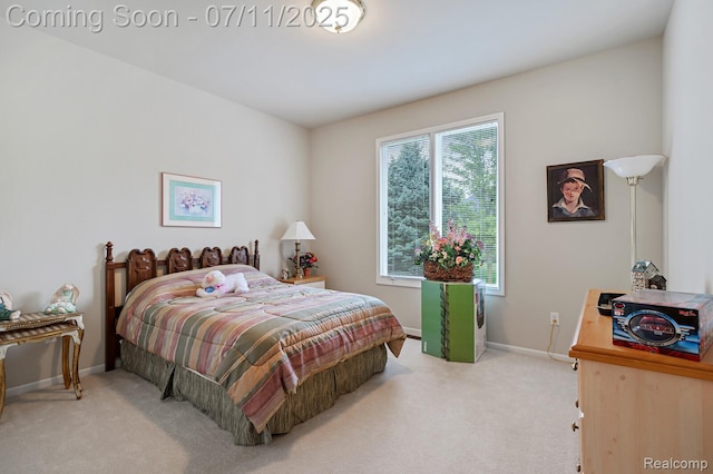 13823 Blue Beech Ln, Shelby Twp, MI 48315 - bedroom with carpet flooring