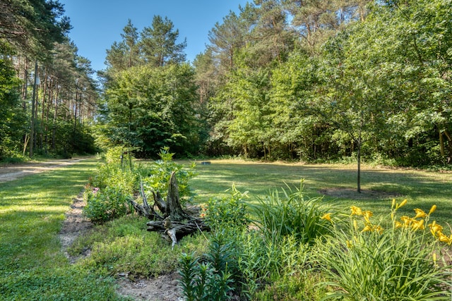13113 Pinewood St NE, Gowen, MI 49326 - view of green lawn featuring a view of trees