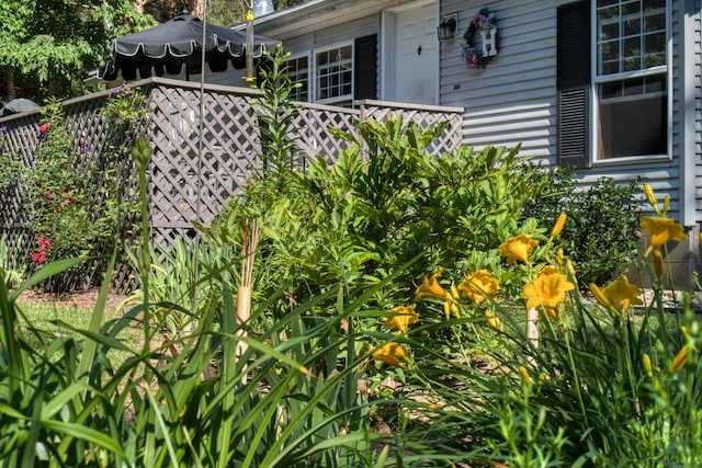 13113 Pinewood St NE, Gowen, MI 49326 - view of yard