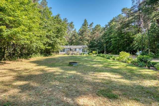 13113 Pinewood St NE, Gowen, MI 49326 - view of grassy yard featuring a view of trees