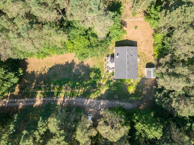 13113 Pinewood St NE, Gowen, MI 49326 - aerial view of property and surrounding area
