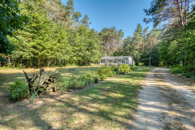 13113 Pinewood St NE, Gowen, MI 49326 - view of dirt / gravel driveway with a forest view